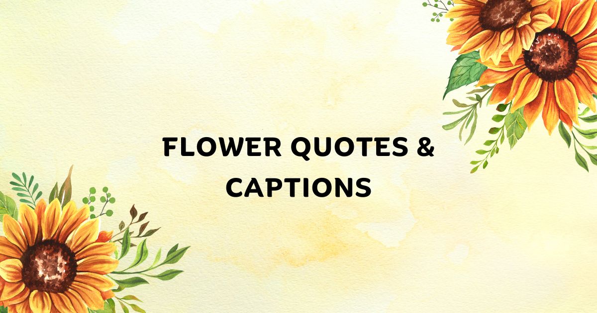 150+ Flower Quotes & Captions for Instagram