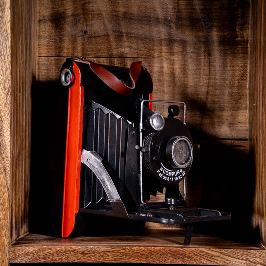 19th Century Polaroid Vintage Camera