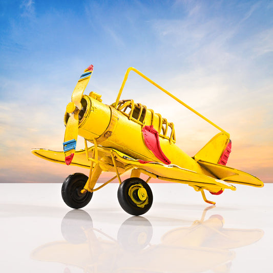 Canary Vintage Airplane