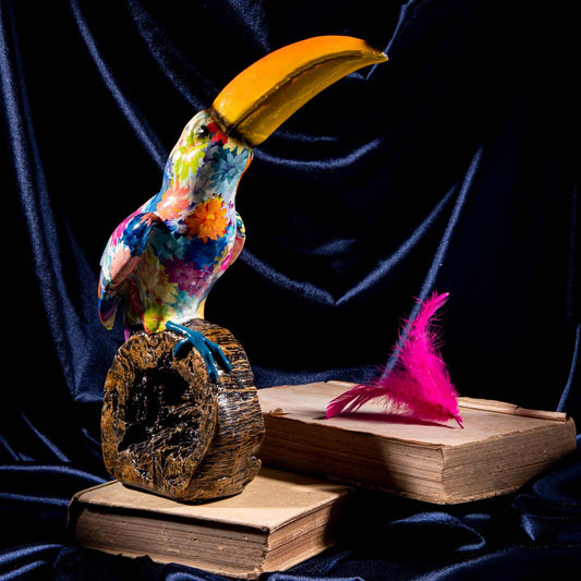Toucan Splash Design Decor