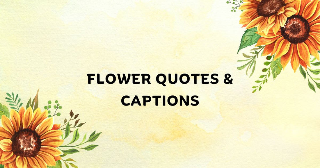 150+ Flower Quotes & Captions for Instagram