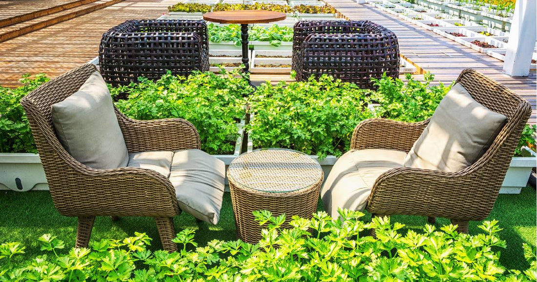 Modern Terrace Garden Ideas to Elevate Your Home Space