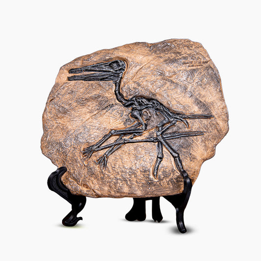 Dino Stone Fossil Decorative Showpiece