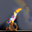 Toucan Splash Design Décor