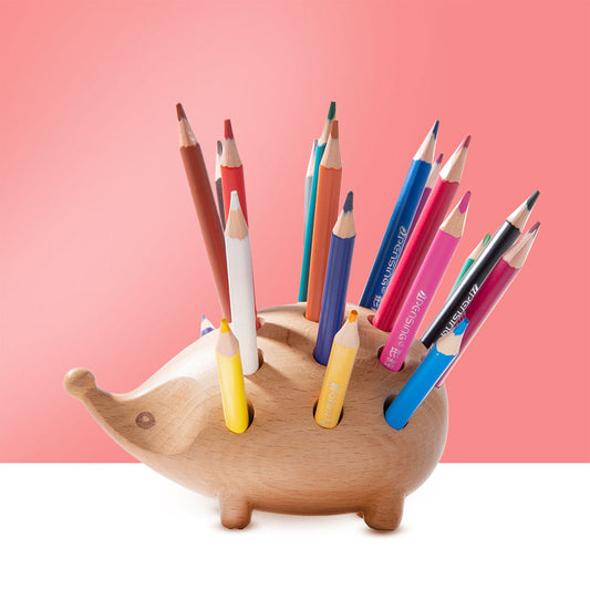 Pricky Pencil Holder