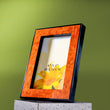 Franze Saffron Photo Frame