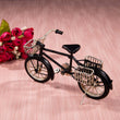 Carrie Model Bicycle