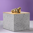 Tamed Passion Storage Jar