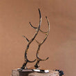 Vint-O-Antler Wine Rack