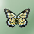 Midnight Butterfly Wall Art
