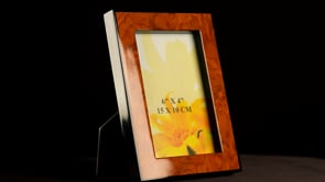 Franze Saffron Photo Frame
