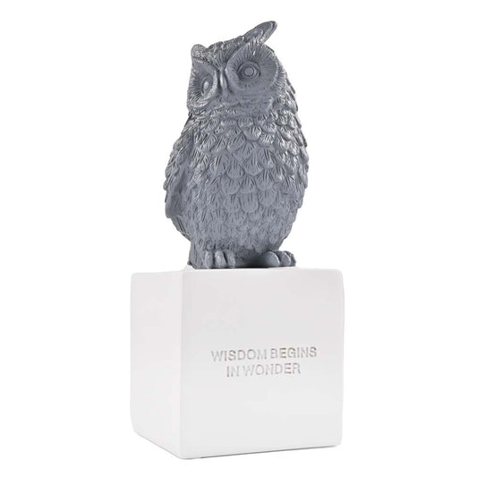 Night Owl Decorative Sculpture